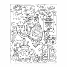 boyama sayfası: Bir owl ve eczane şişelerini tasvir eden yetişkinler için renkli kitap