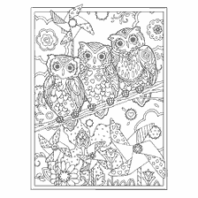 boyama sayfası: Owls ve çiçekleri ile yetişkinler için renklendirme