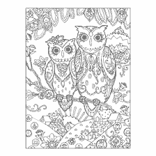 boyama sayfası: Yetişkinler için renklendirme Muhteşem bir apartmanda Owls