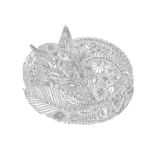 Coloring Foxes for adults anti-stress