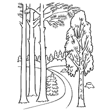 coloring page: Coloring picture of a path in a forest surrounded by trees