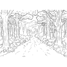 coloring page: Black and white coloring of the forest road with trees and mountains against the background