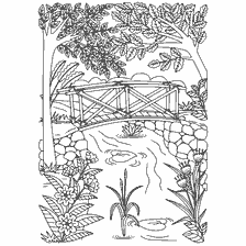 coloring page: Coloring with the image of a bridge across the river in a picturesque corner of nature