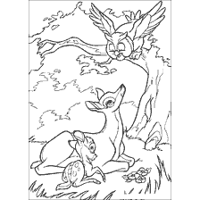 Malowanie Bambi, jego matka i sowa na kolorowanki