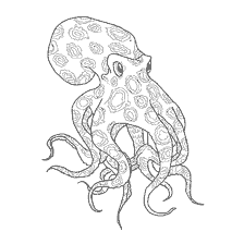 boyama sayfası: Bir octopus resmi