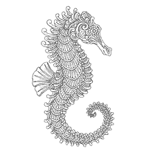 boyama sayfası: Anti-stress tarzında resim için Seahorse
