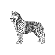 coloring page: Anti-stress coloring of a Husky dog