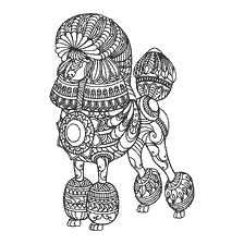 coloring page: Coloring for adults anti-stress with a poodle image