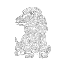 coloring page: Anti-stress coloring with a dachshund