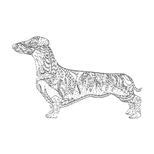 coloring page: Anti-stress coloring dog dachshund with patterns