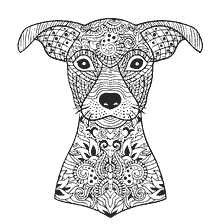 coloring page: Anti-stress coloring dog with patterns