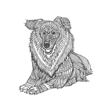 coloring page: Coloring for Adult Anti-Stress Dogs Collie