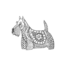 coloring page: Anti-stress coloring dog Scotch Terrier