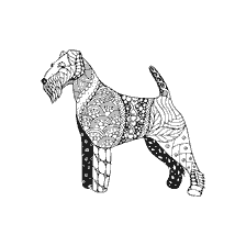 coloring page: Coloring anti-stress dog Airedale Terrier