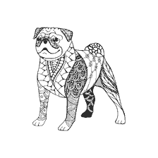coloring page: Anti-stress coloring pug with patterns