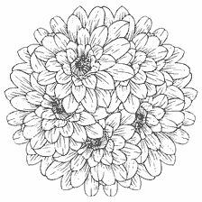 Colorante antiestrés con flores