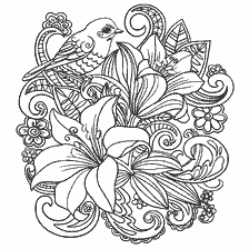 Colorare fiori di Lily