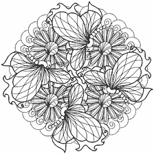 Corante anti-stress com flores e borboletas