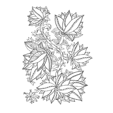 Antistresskleuring: Bloemen