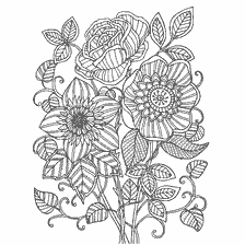 Colorir para adultos com a imagem de flores floridas