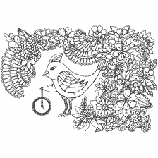 Colorir para adultos com flores e pássaros